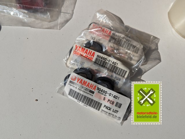 PXL_20240528_153102319